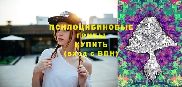 ALPHA PVP Богородск