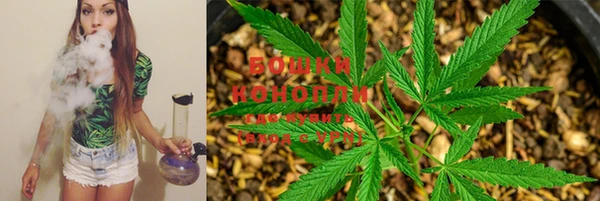 spice Беломорск